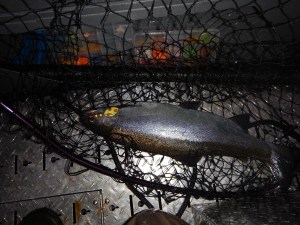 Finger Lakes Tackle Spinners doing work