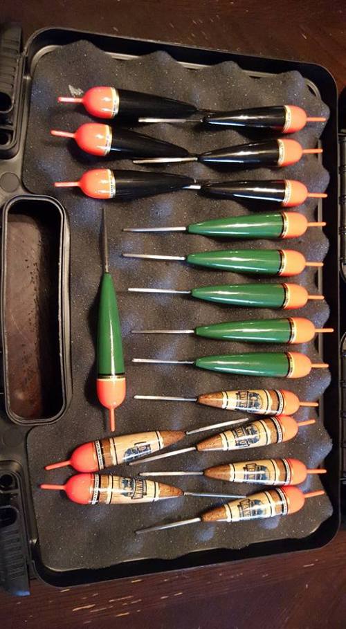 12919681_10205050767743465_7959336953129913277_n